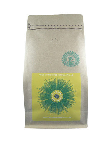 Costa Rica Rainforest Certified Subscription